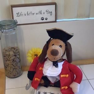Cute Captain Hook Dog Costume